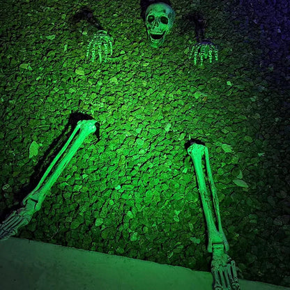 Halloween Party Horror Props Five-Piece Skeleton Head Ghost Simulator Child-Friendly Hot Selling Garden Ground Scene Decorations