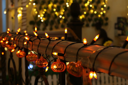 Light String Orange LED  Light Set 2 50L/10cm/30cm Outdoor with 8 Function 3AA Control
